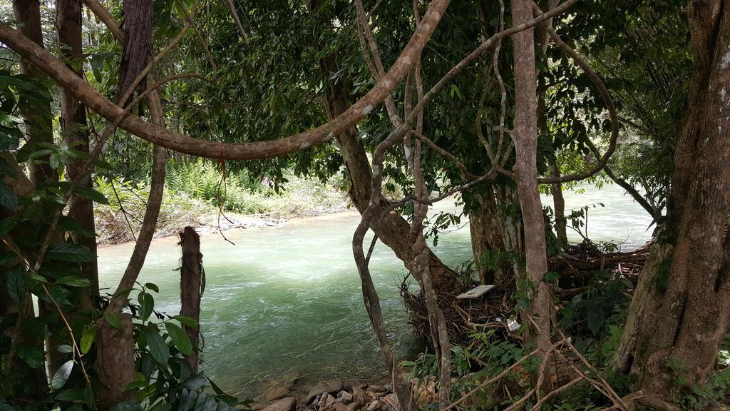 Khao Sok Jungle Huts Resort Khao Sok National Park ภายนอก รูปภาพ